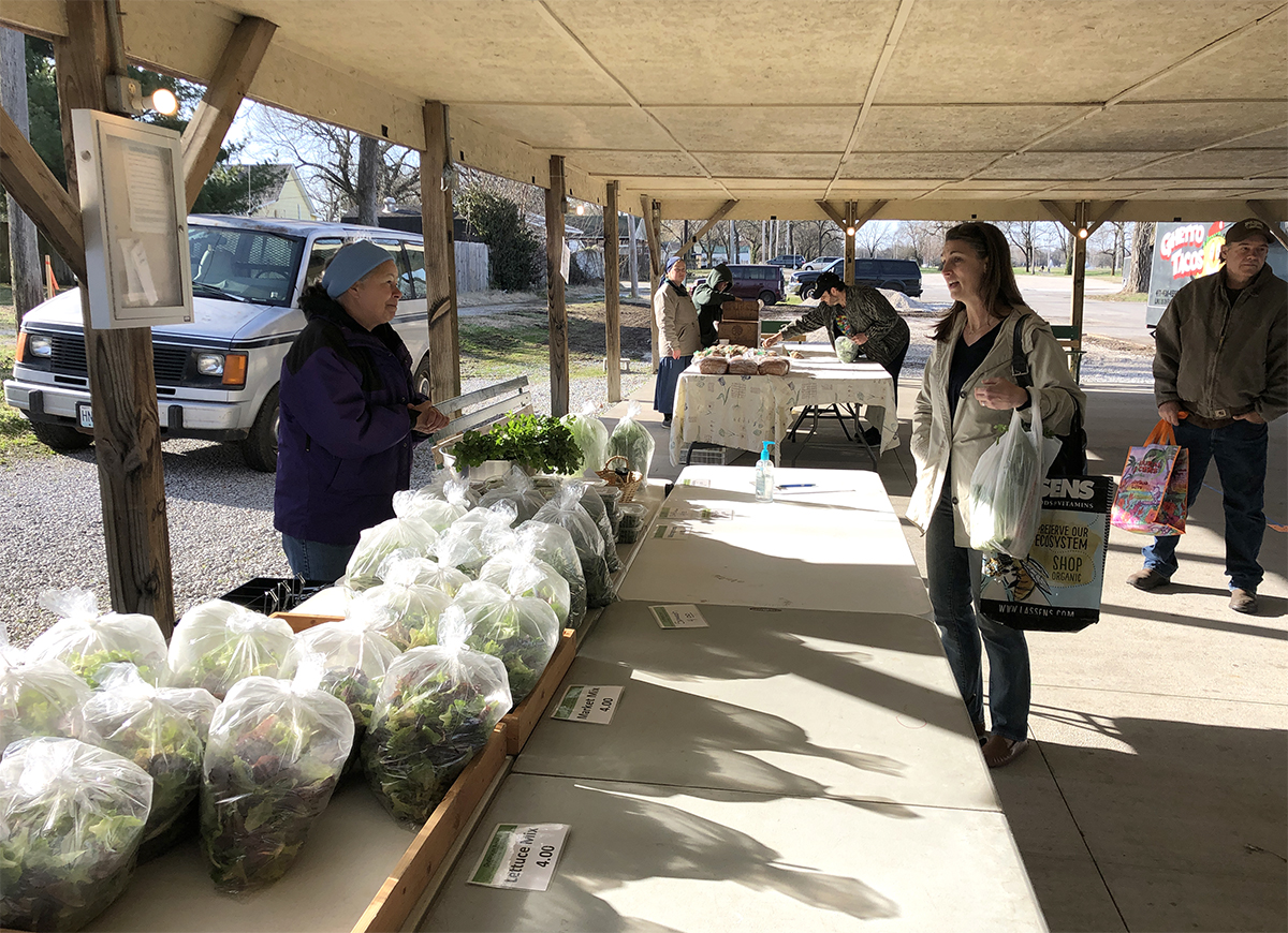 Vendors and buyers practice safe social distancing. An extra row of tables keeps them apart, as do market guidelines that discourage the usual friendly chitchat. Photo courtesy of the Webb City Sentinel.