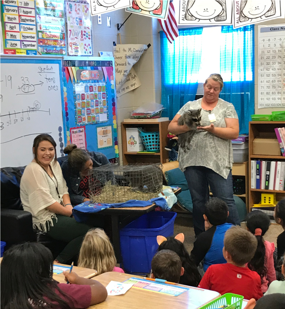 Youth program associate Dana Vangunda shows second graders an orphaned raccoon as part of in-class 4-H programming at Noel Primary School in McDonald County.