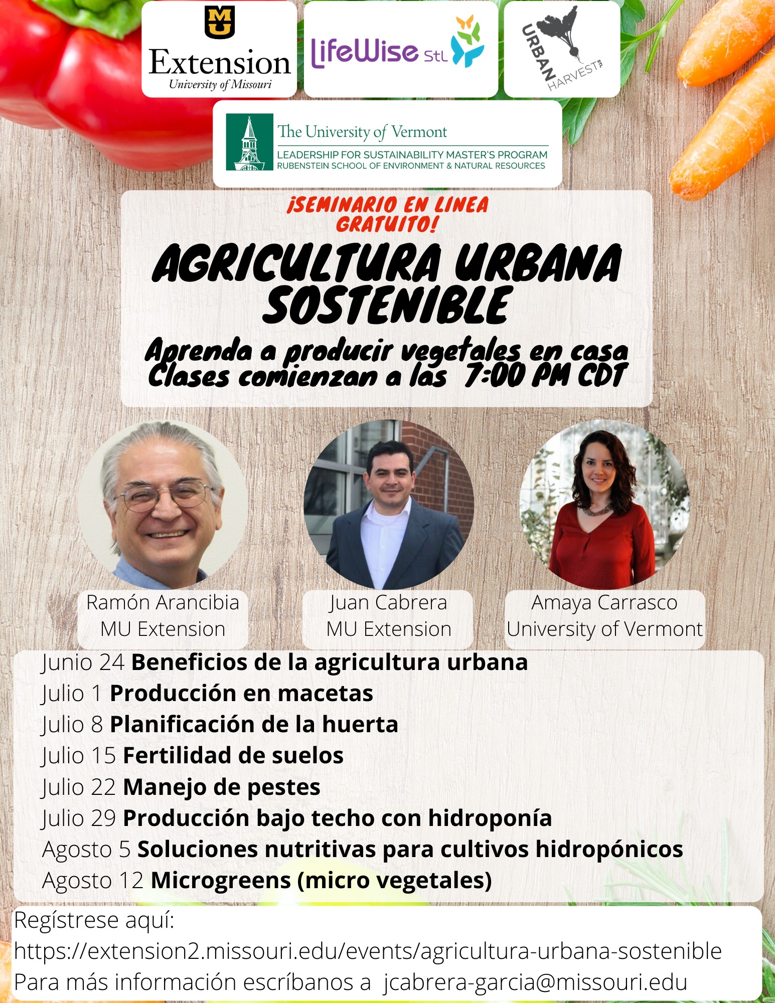 Flyer for Spanish-language webinar.