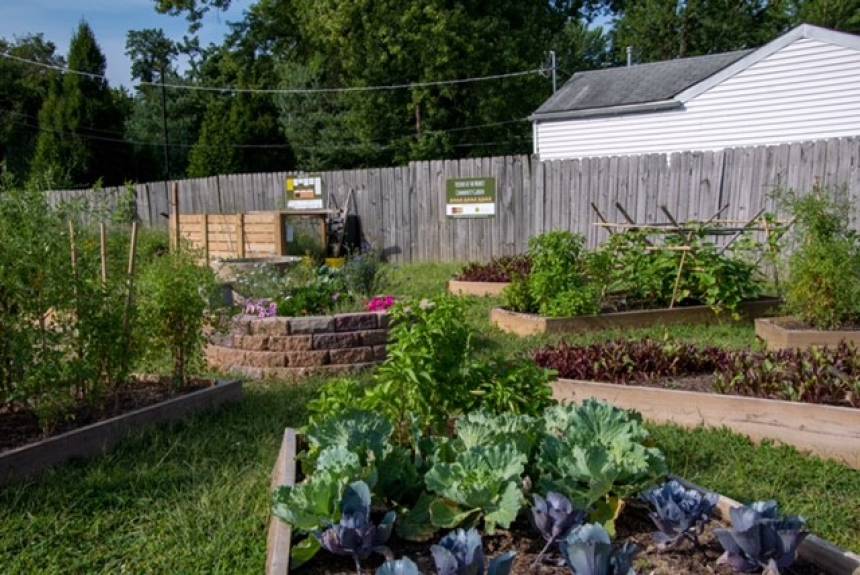 After the groundbreaking for a community garden next to the Ferguson Farmers Market, Ron Brown was contacted by UCP Heartland about gardening opportunities for individuals with cerebral palsy, most of whom are in wheelchairs. Photo courtesy of Ron Brown.