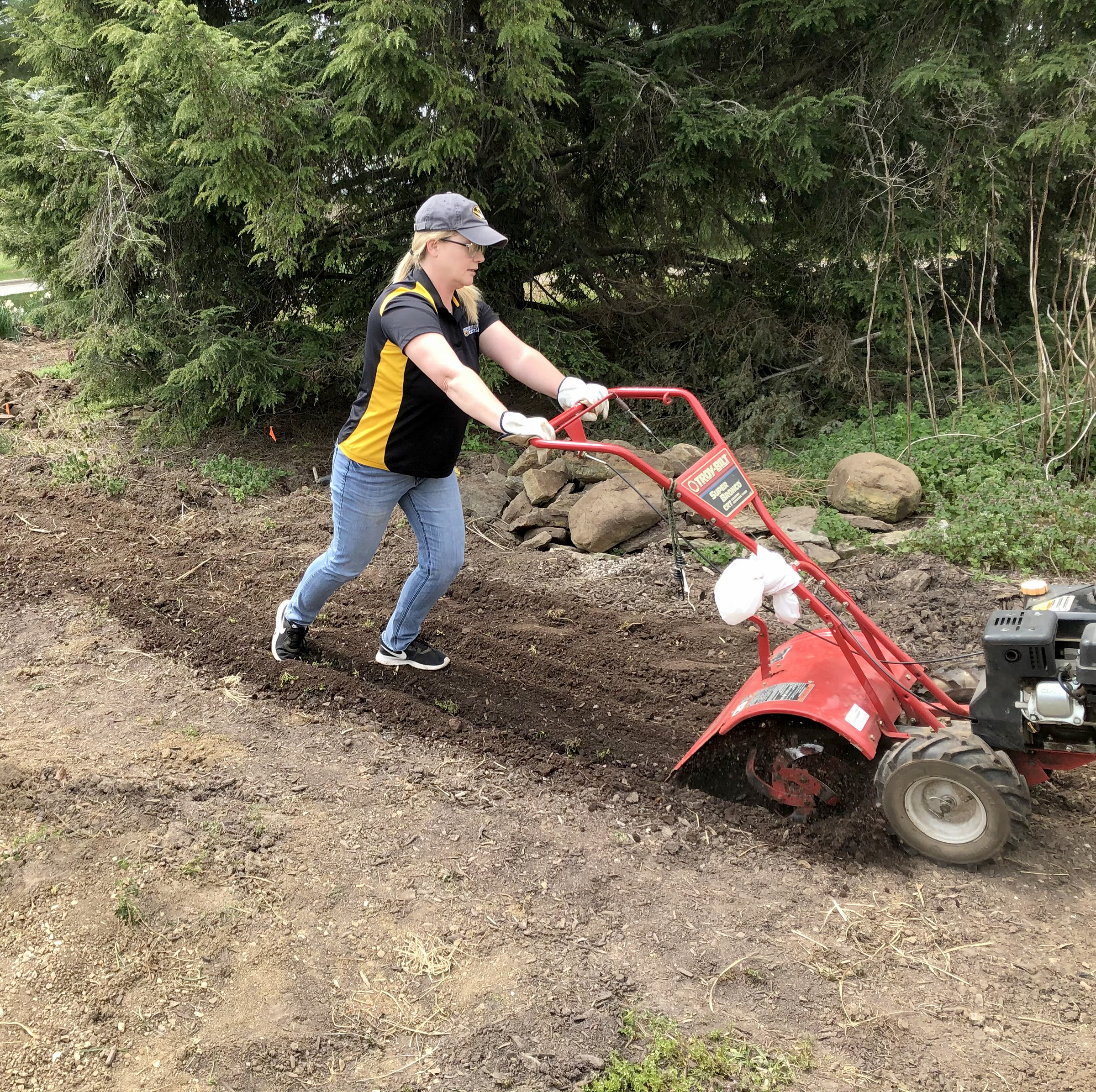 MU Extension horticulturist Kelly McGowan prepares to plant lavender in a research plot at the Springfield Botanical Gardens.