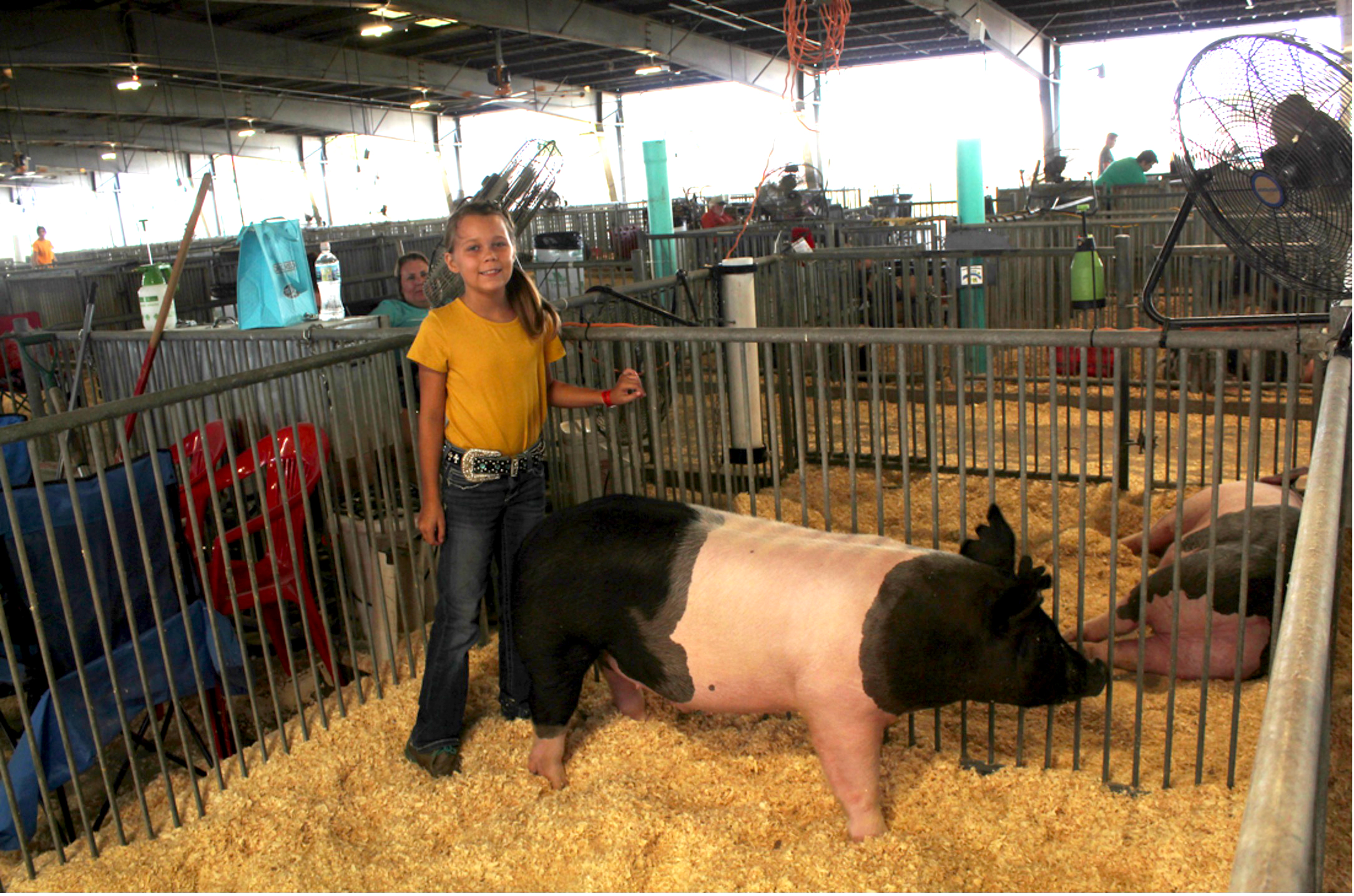 Madison Wolf, 10, with her Hampshire, Hampy.