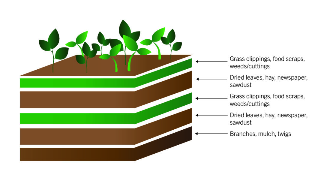 Lasagna garden illustration by Bek Diamond, ©2019, Clemson University. Used with permission.