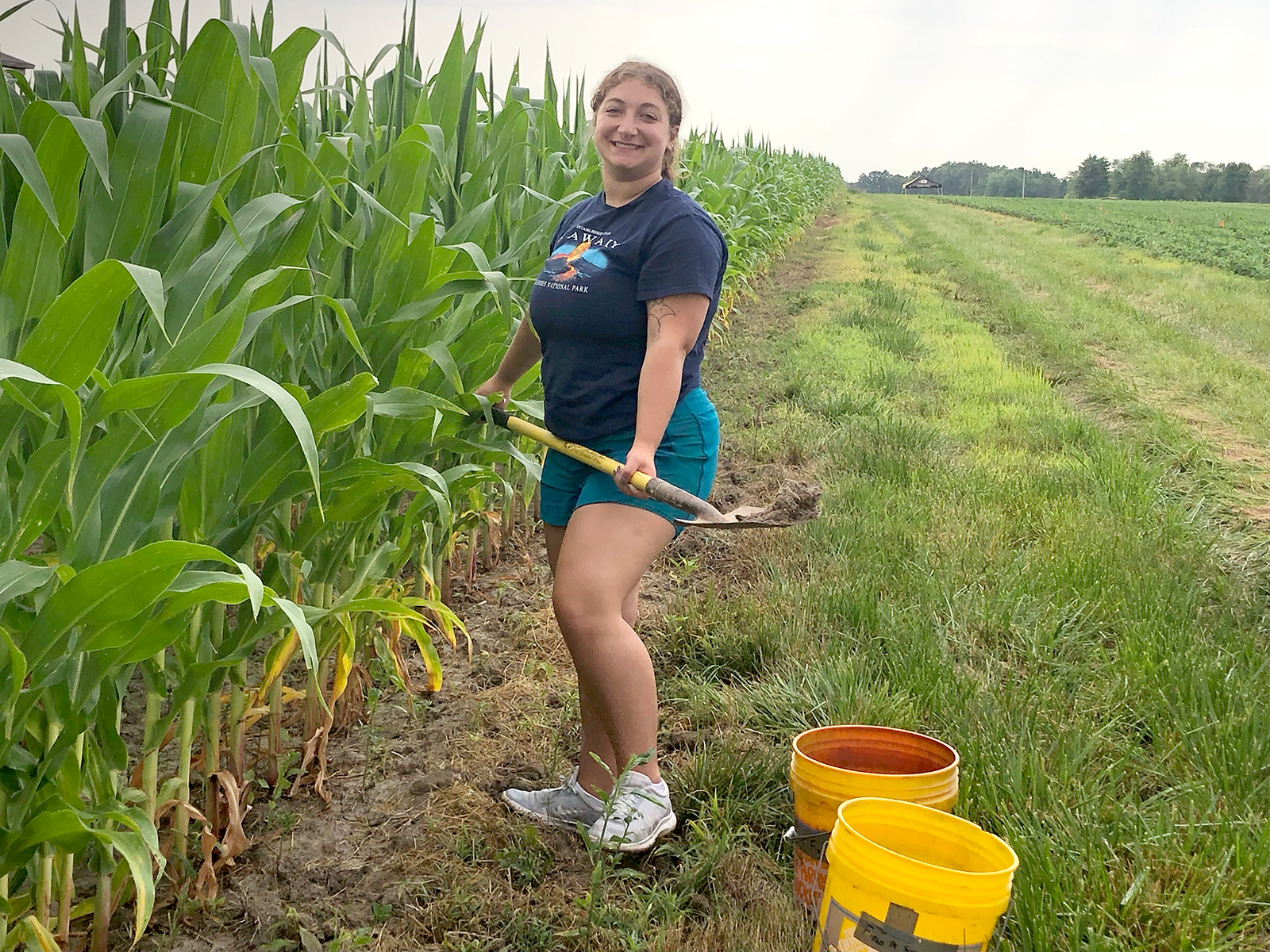 Jennah Klein, a University of Missouri environmental science major, works in an MU research plot.