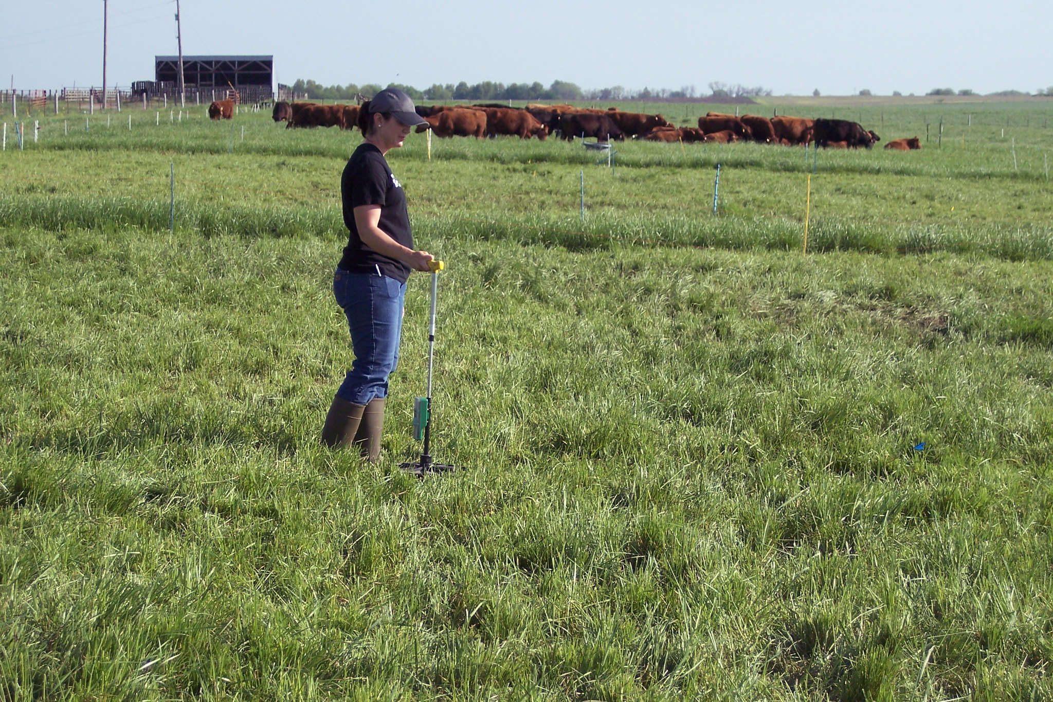 Rotational grazing