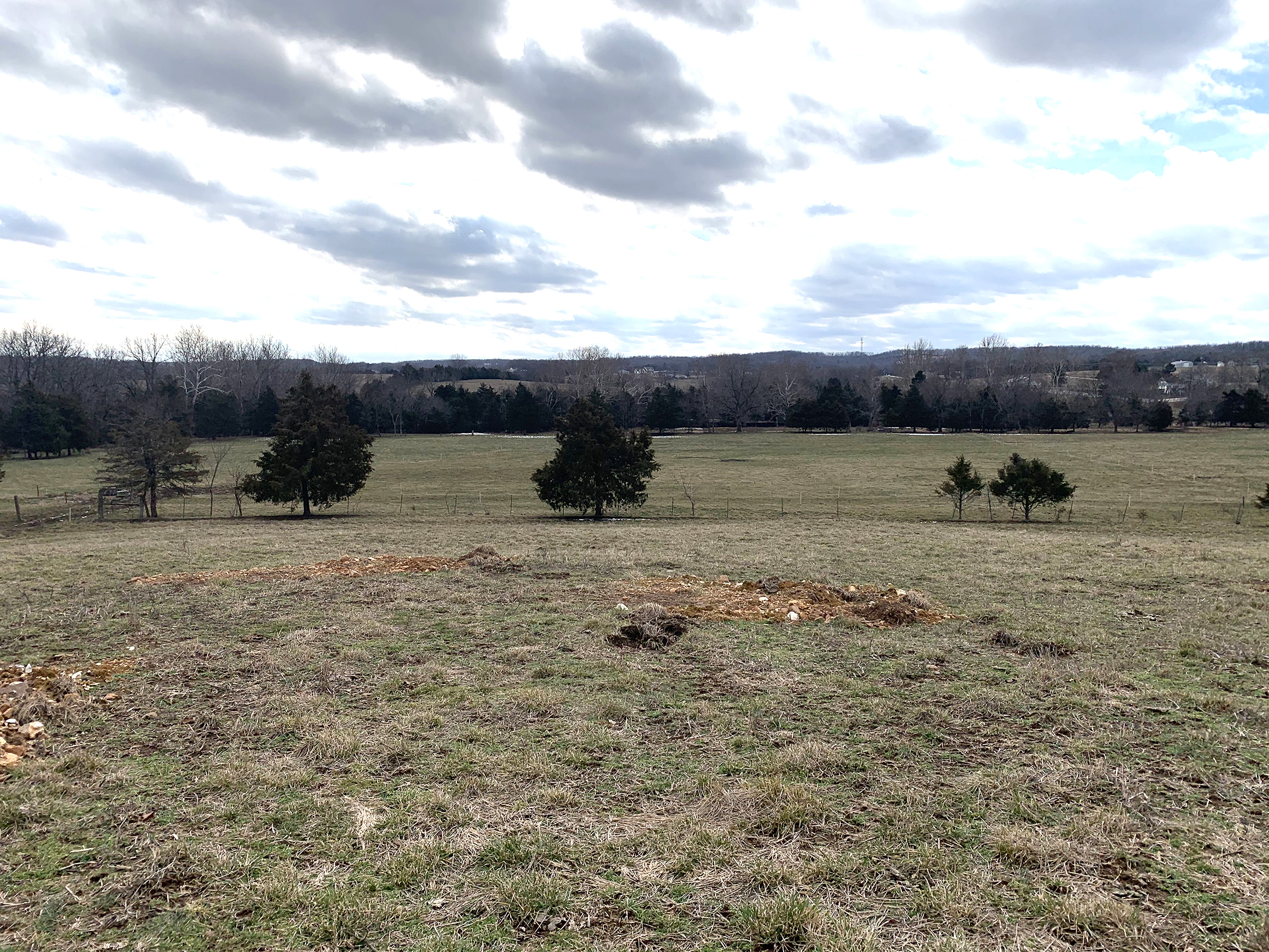 Forage producers must get back to the basics of farming to reset post-drought pastures, says University of Missouri Extension agronomist Terry Halleran. Photo courtesy of Terry Halleran.