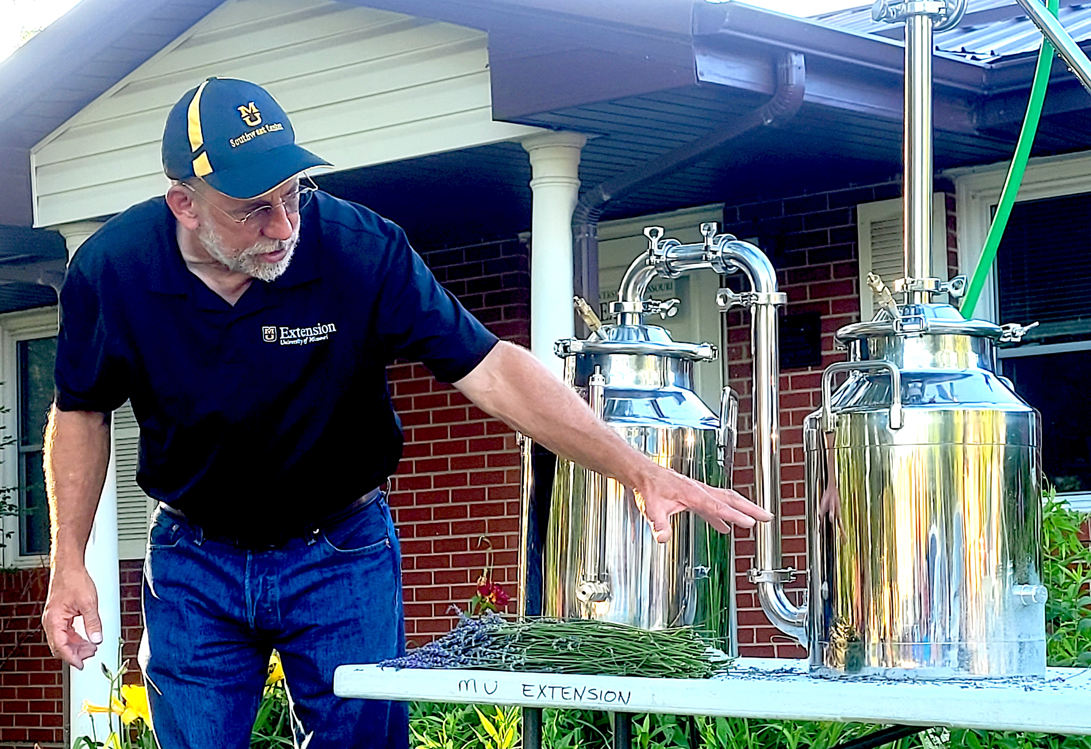 MU Extension horticulturist Patrick Byers demonstrates how to distill oil from lavender. Every part of the lavender plant produces a fragrant oil. Photo courtesy of Patrick Byers.