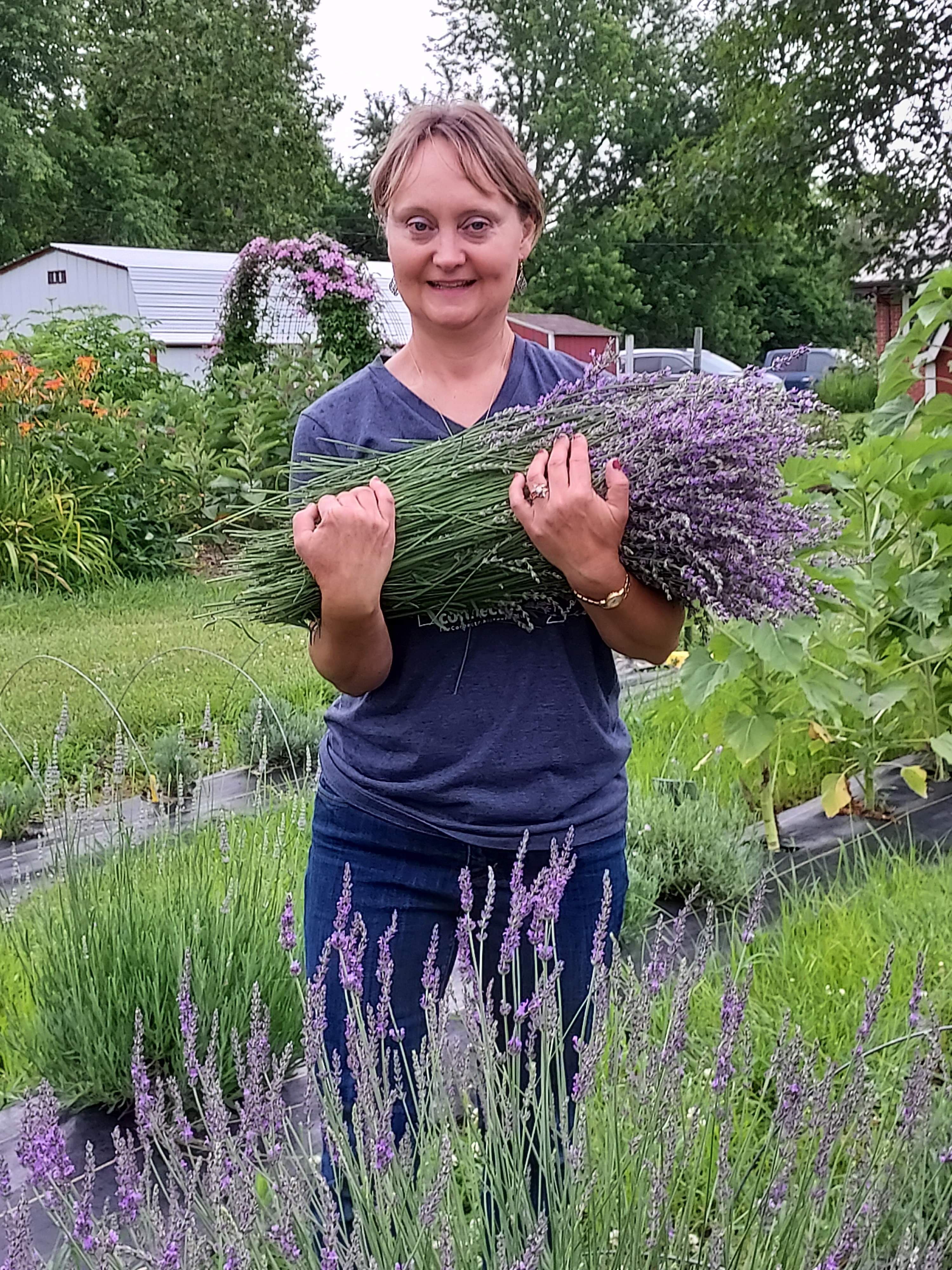 MU Extension horticulturist Jennifer Schutter says lavender can be a valuable pollinator in home gardens. It also can deter some undesirable insects. Photo courtesy of Jennifer Schutter.