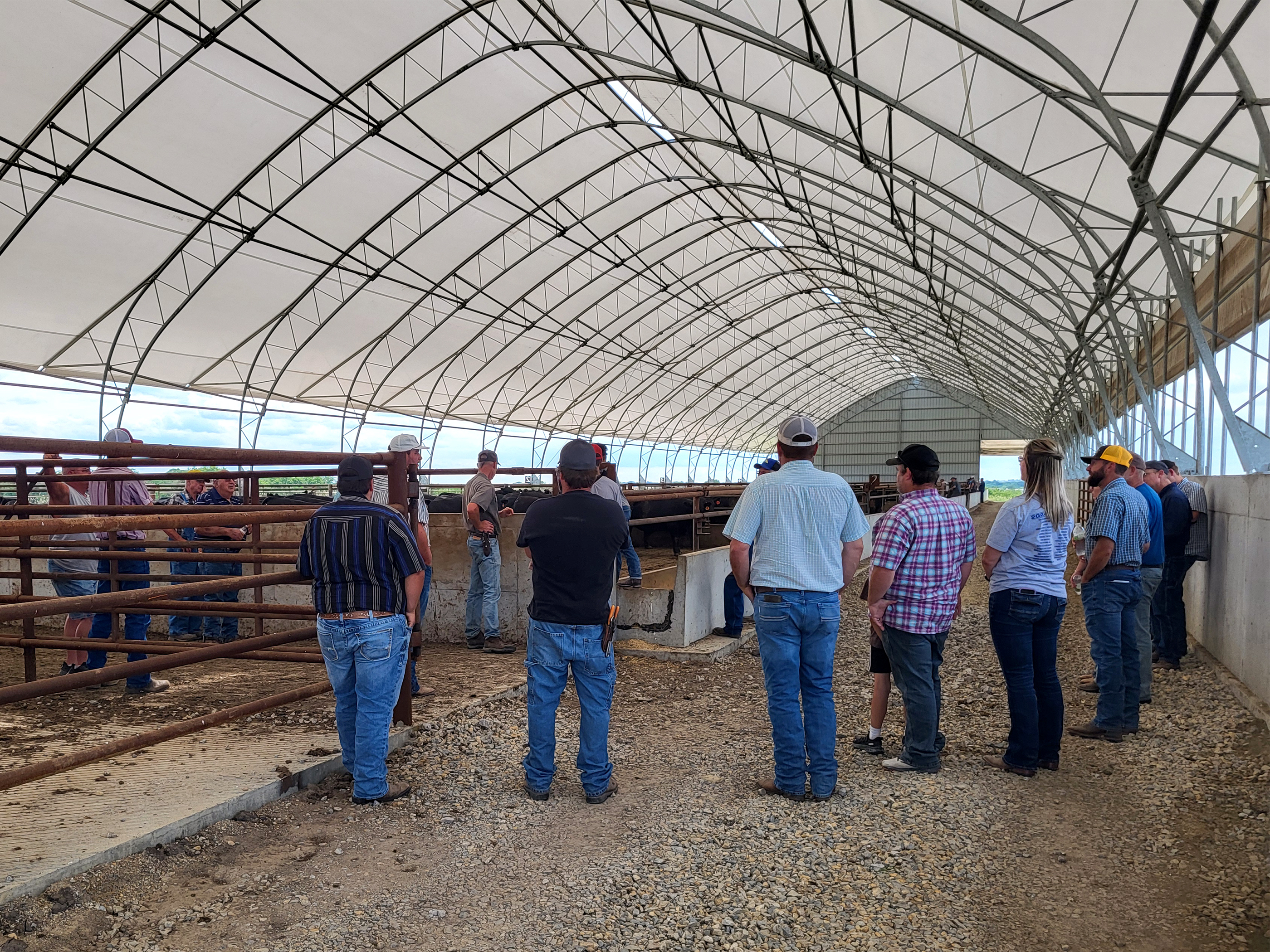 feedlot school Aug. 2024