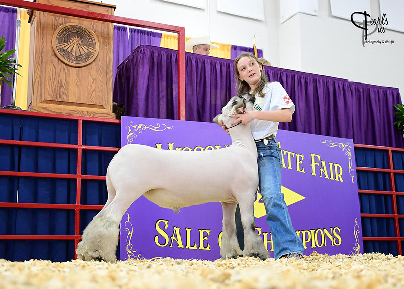 The Reserve Grand Champion Market Lamb honor went to Jordann Doty, a member of the Northeast Bluejays 4-H Club in Nodaway County.