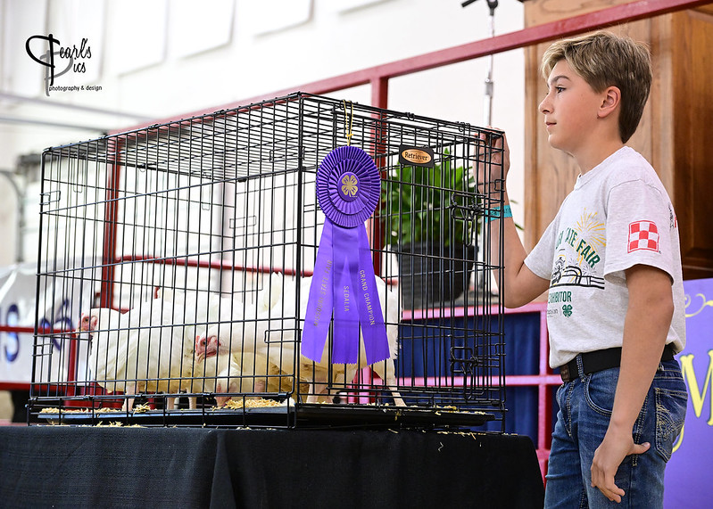 Judd Lawson is the exhibitor of the 2024 Grand Champion and Reserve Grand Champion Pen of Chickens at the Missouri State Fair. Judd is a member of the Osage River 4-H Club in Cedar County.