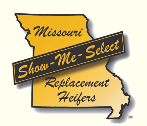 Show-Me-Select Replacement Heifers