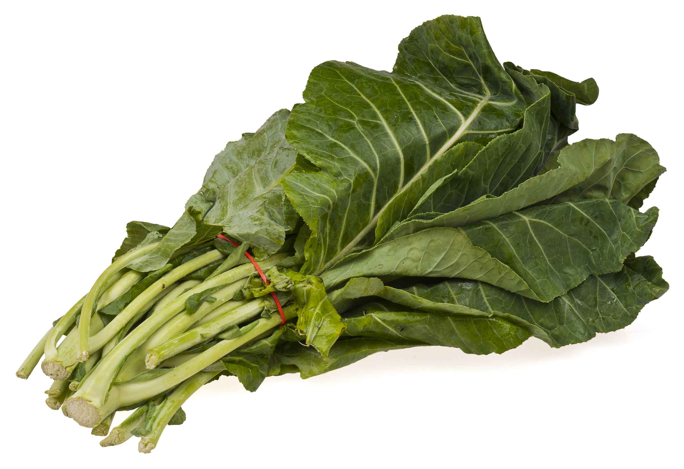 Collard greens, a cool-season vegetable. Public domain image