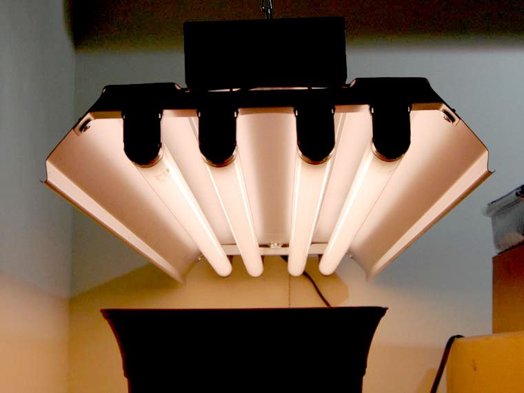 Fluorescent light fixture with grow lightsDennis Brown