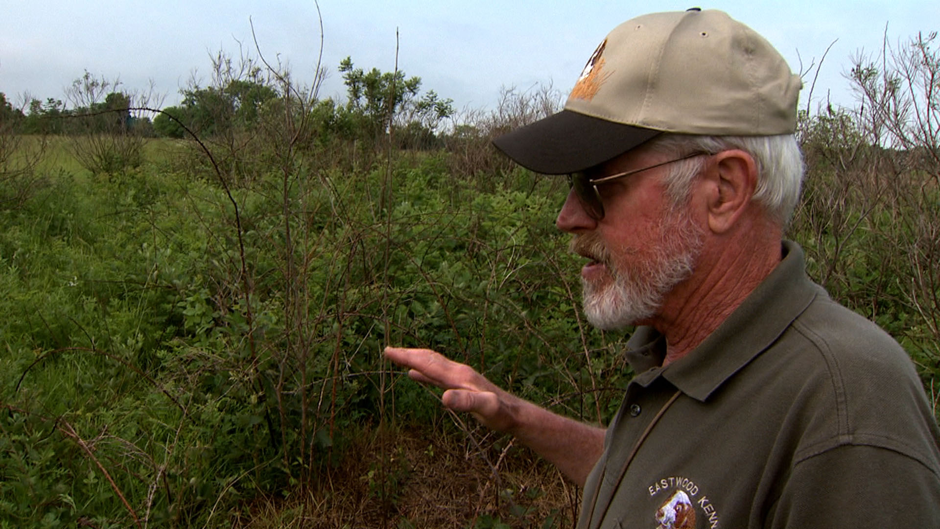 George Hobson has converted parts of his 100-acre farm to habitat for quail and other wildlife.University of Missouri Cooperative Media Group