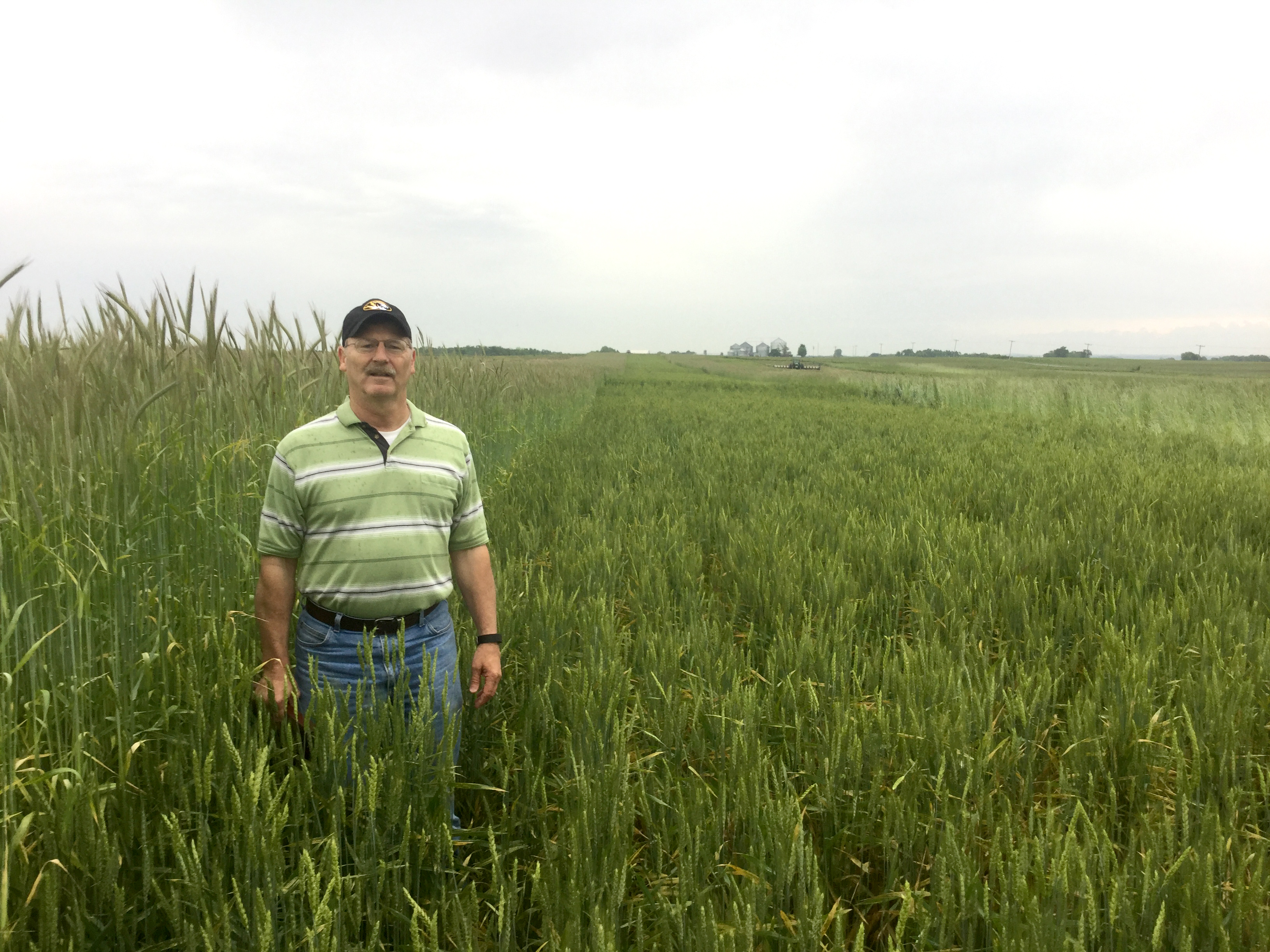 Corn specialist Greg Luce is among the MU Extension staff working with farmers on the Missouri Strip Trial Program. MU Extension is seeking farmers to participate in the 2018 strip trials. Photo courtesy of John Lory.