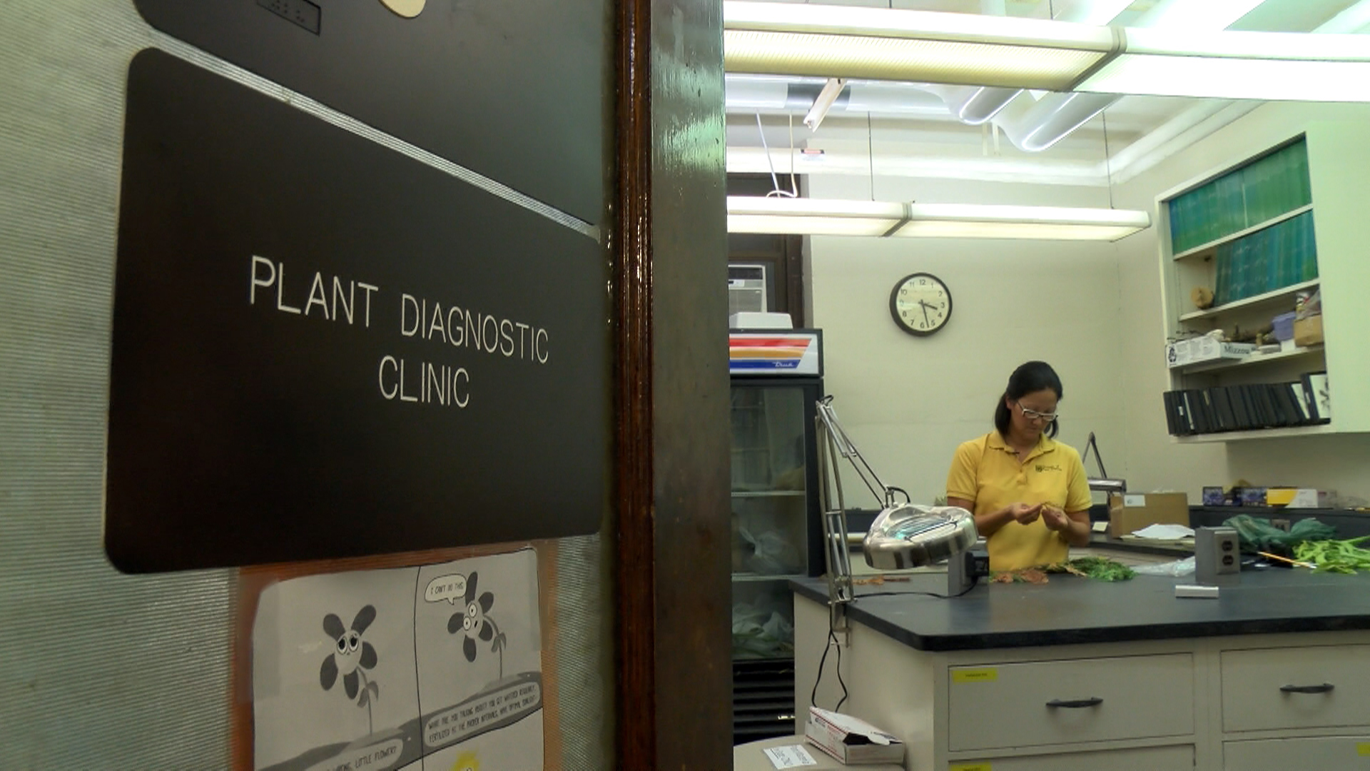 The MU Plant Diagnostic Clinic at 28 Mumford Hall, Columbia MO 65211Jon Lamb, University of Missouri Extension Communications