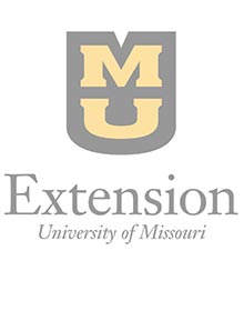 Percent change in estimated Missouri farmland values between July 2020 and July 2021.