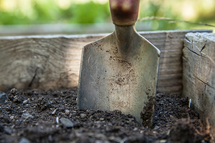 Garden soil.Public domain image