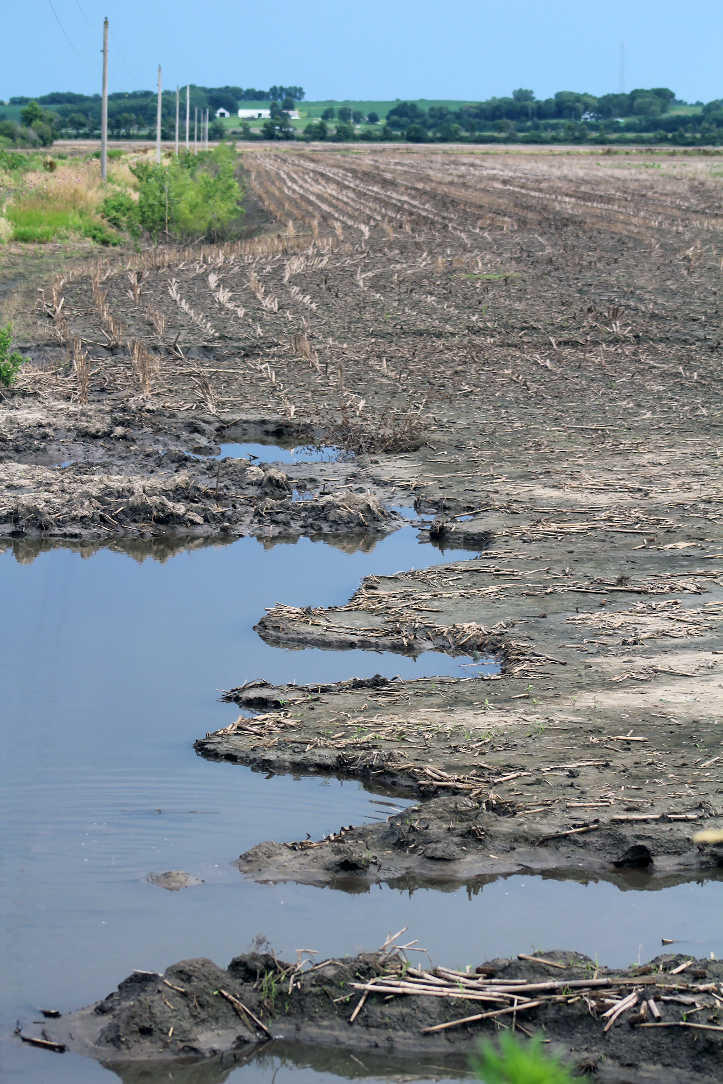 University of Missouri Extension specialists say sand and scours are among the many challenges of repairing flood-damaged fields. Photo by Linda Geist.