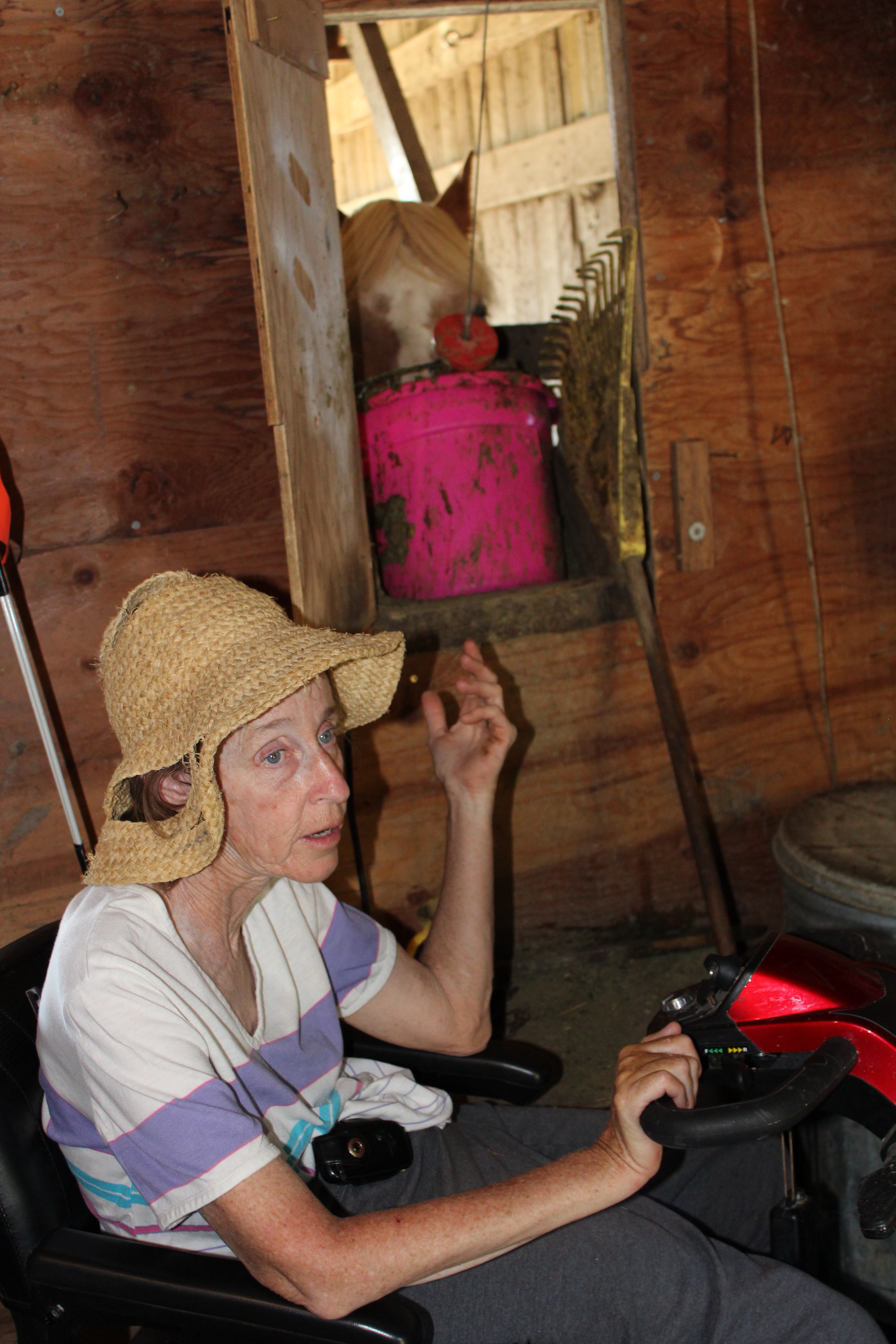 Kim DaWaulter’s farm includes many rescue animals. She hoists buckets of food for horses with a pulley and carries water one gallon at a time to poultry.Linda Geist