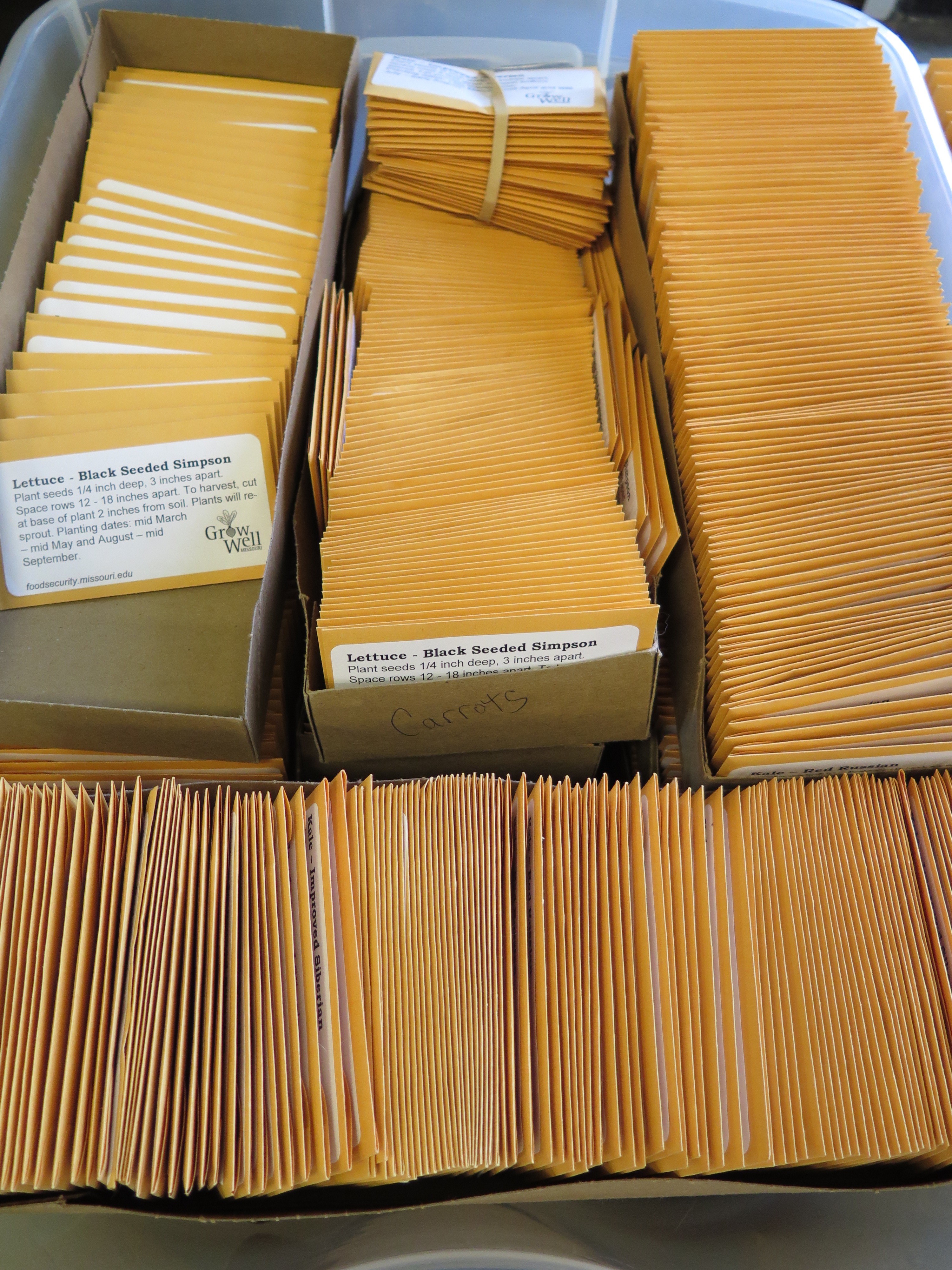 Packets of lettuce seeds await food pantry recipients. Master Gardeners, Grow Well Missouri partners and community volunteers in Mexico work with food pantry recipients to grow fresh produce and learn gardening skills.Photo by Linda Geist