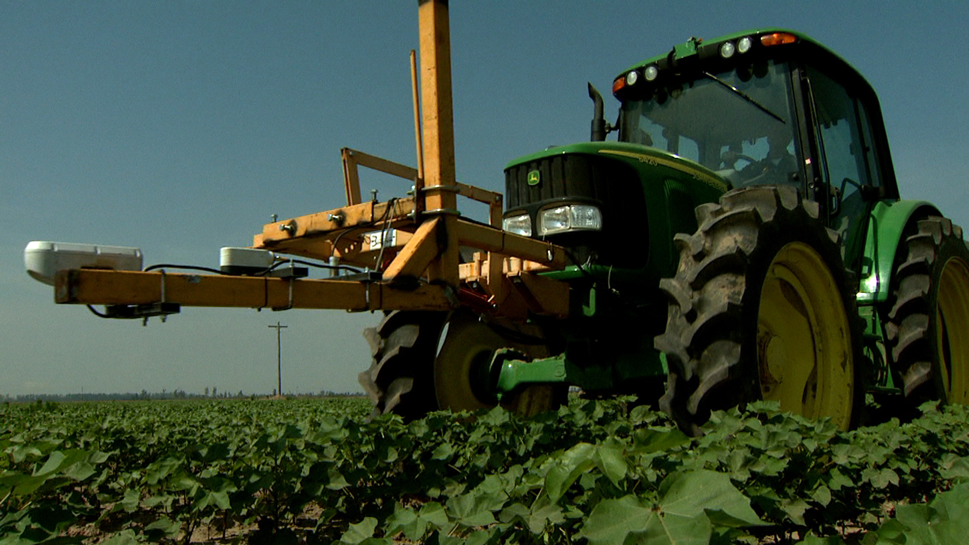 Optical sensors measure nitrogen need in cotton plants at MU Delta Research Center plot.MU Cooperative Media Group 