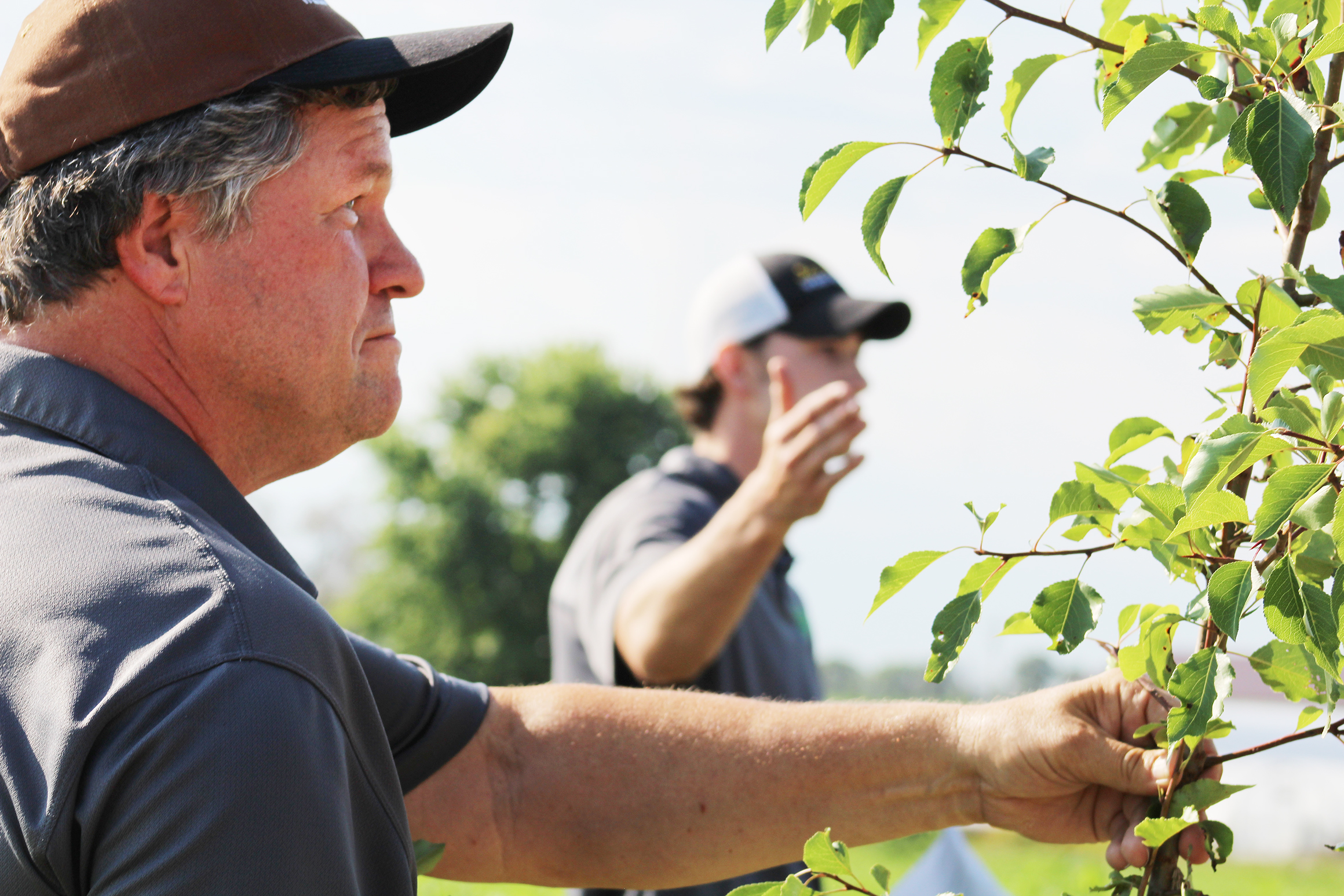 Reid Smeda, left, and Matt Terry study the movement of Callery pear trees from suburban to rural areas. The popular ornamental has become an invasive species. Photo by Linda Geist