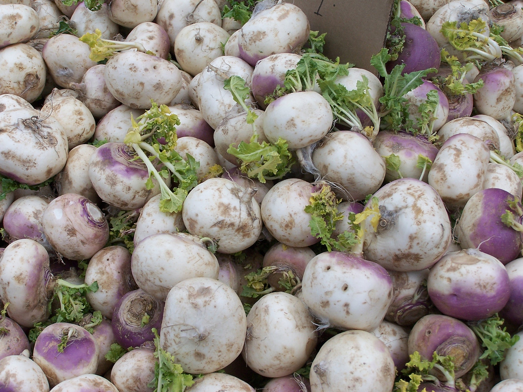 Turnips.Photo by Flickr user Jeff Egnaczyk/CC BY 2.0