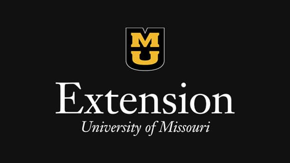 Extension logo